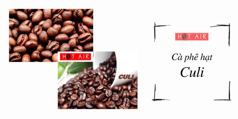 cà phê hạt Culi 